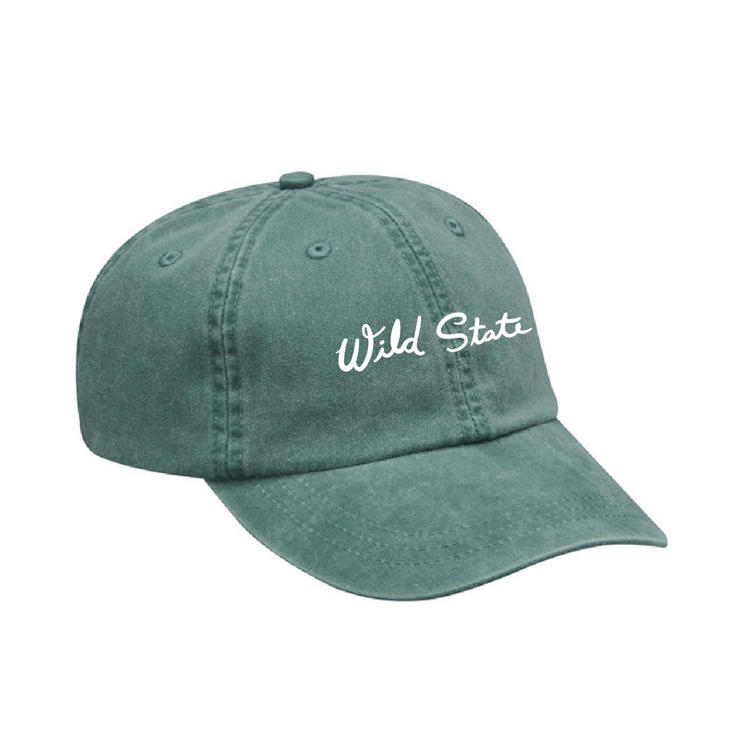 Wild State Script Dad Cap