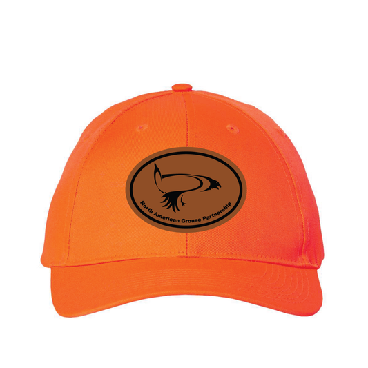 NAGP Blaze Cap