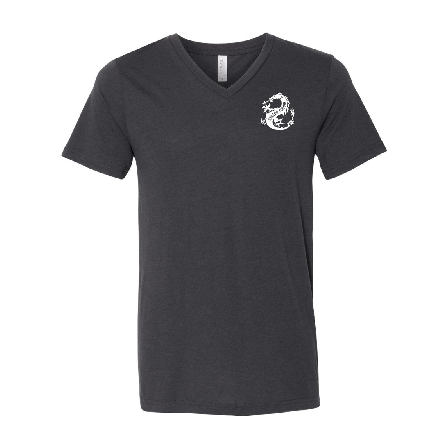 Avalon School Triblend V-Neck Tee - DSP On Demand