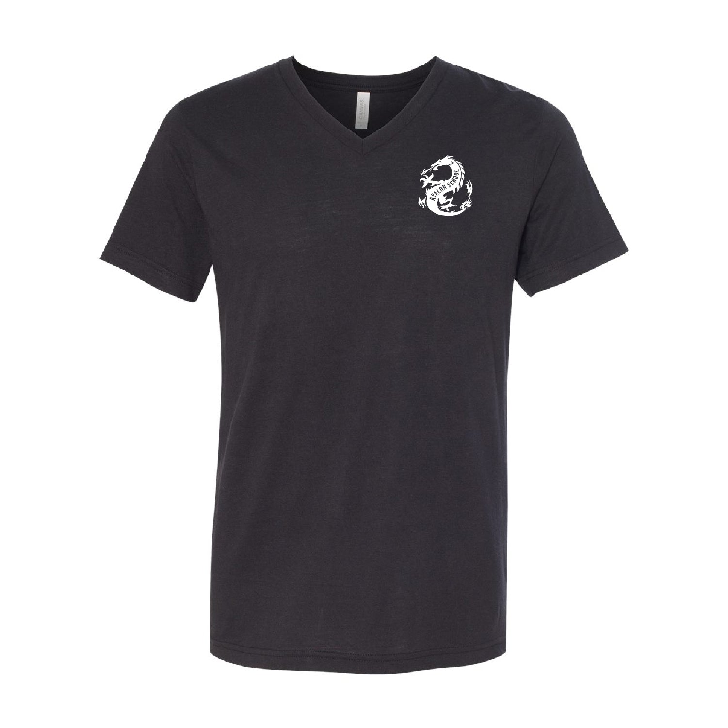 Avalon School Triblend V-Neck Tee - DSP On Demand