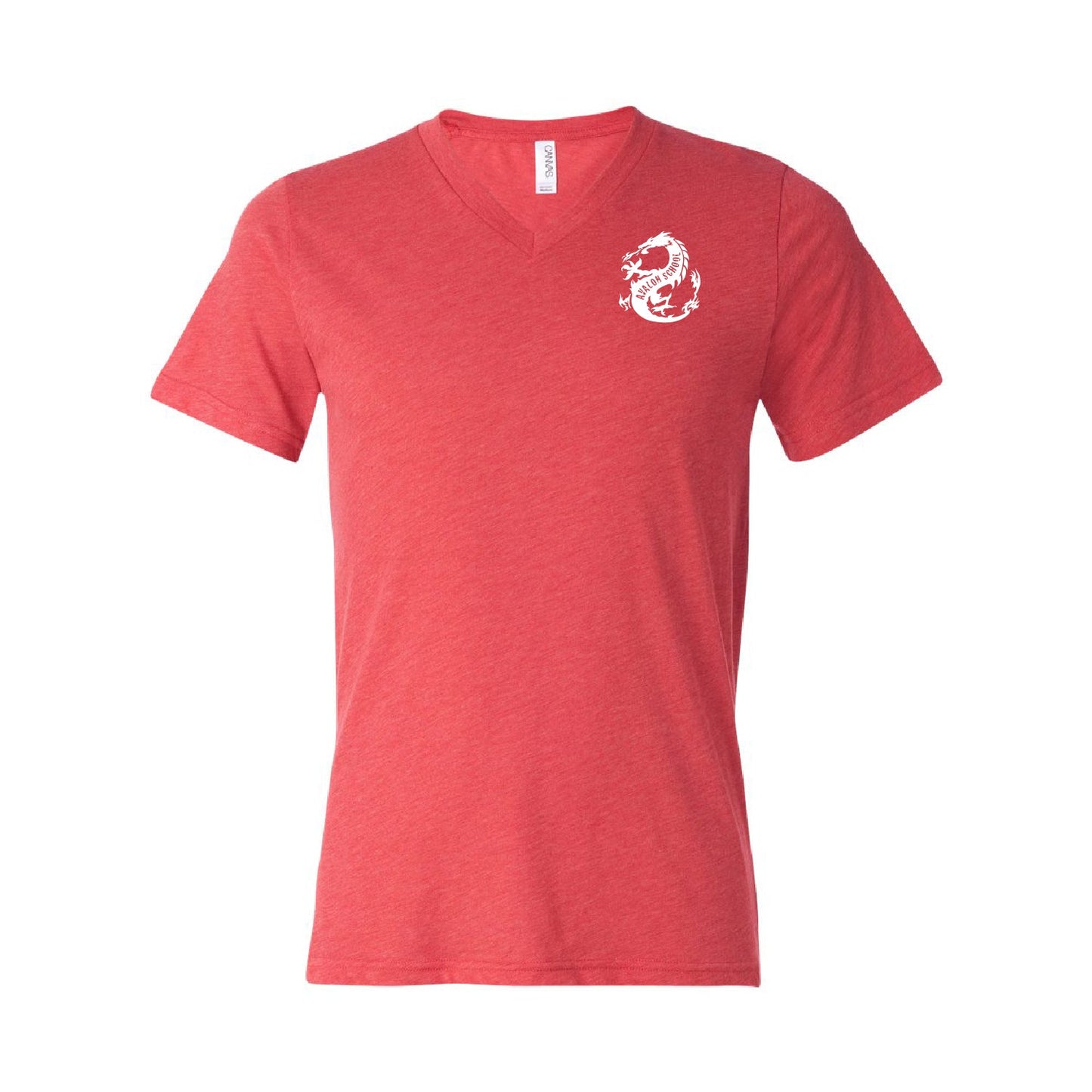 Avalon School Triblend V-Neck Tee - DSP On Demand