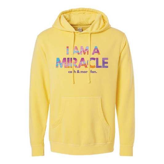 Boogie Gopher Miracle Unisex Midweight Pigment-Dyed Hooded Sweatshirt - DSP On Demand