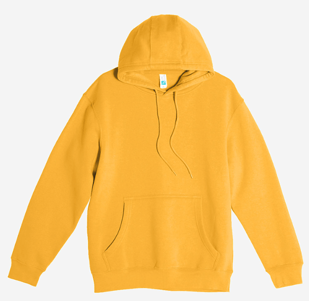 DSP BLANKS Premium Pullover Hoodie - DSP On Demand
