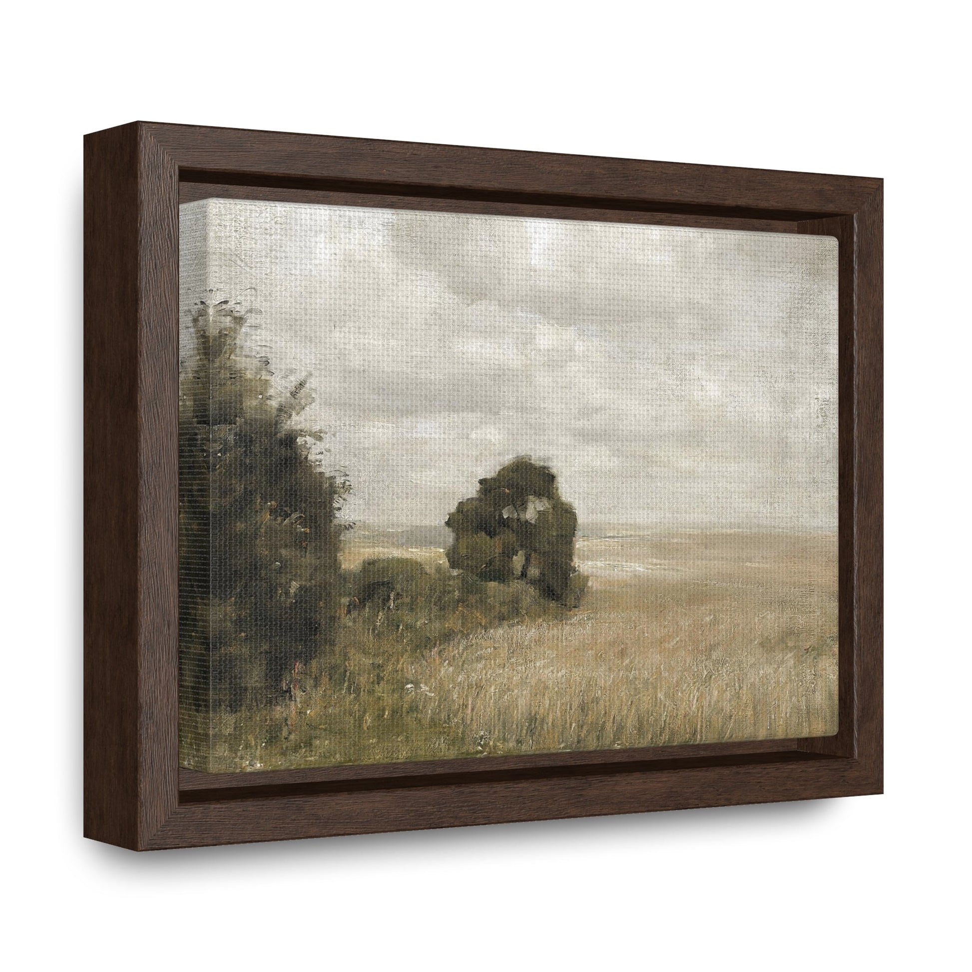 TDD Gallery Canvas Wraps, Horizontal Frame - DSP On Demand