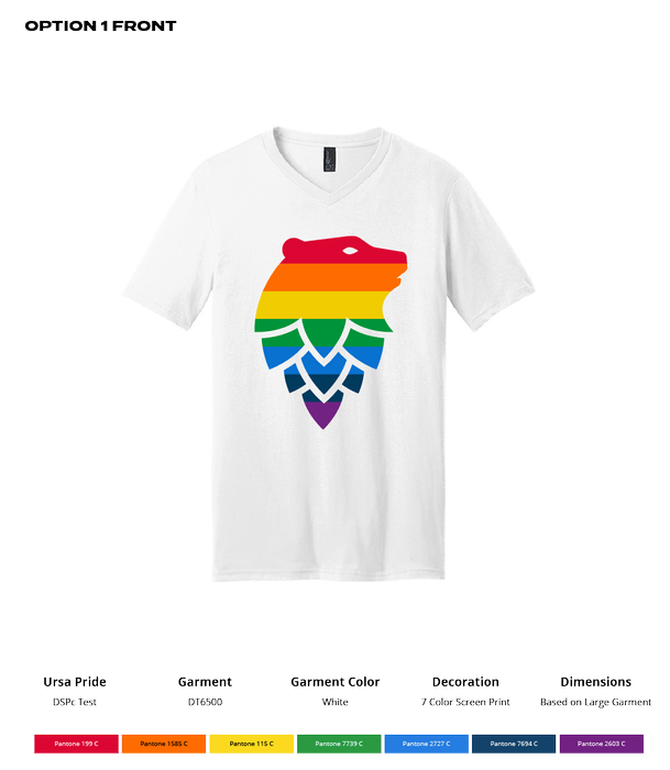 Ursa Pride Pride Unisex V-Neck - DSP On Demand